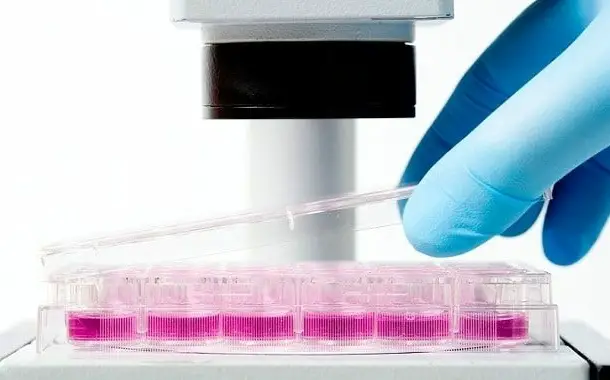 Stem Cell Extraction