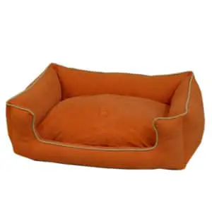 One Dog Bed Type