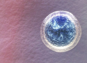 how much does egg freezing usually cost
