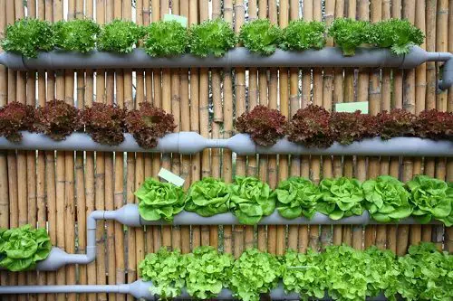 How much does a pipe type of vertical garden cost