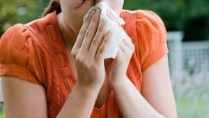 sneeze allergy