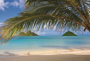 Price of vacation in hawaii
