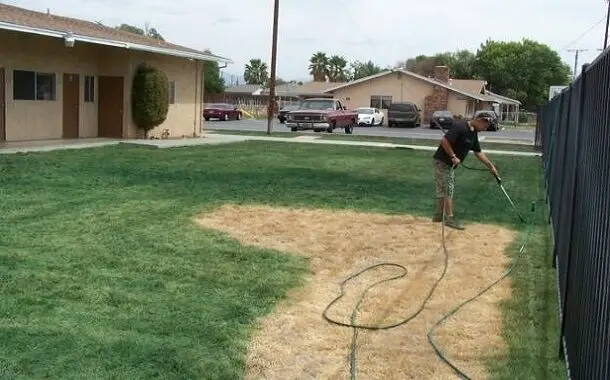 lawn painting cost