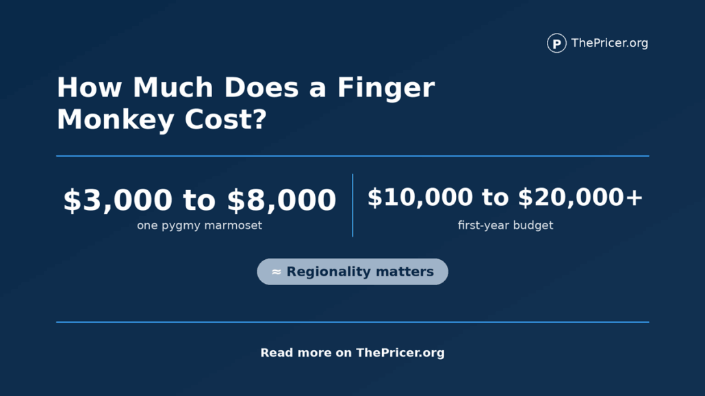 Finger Monkey Cost