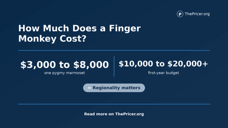 Finger Monkey Cost