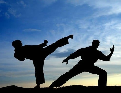 Martial Arts Class Price