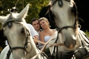 Horse and Carriage for a Wedding