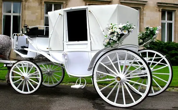 Horse and Carriage Rental Cost