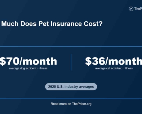 Cat and Other Pets Insurance