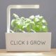 Click & Grow Smart Garden Review And Price