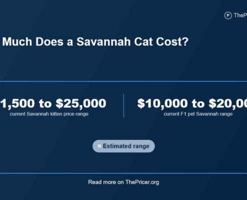 Savannah Cat Cost