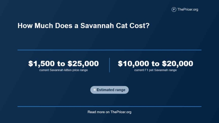 Savannah Cat Cost