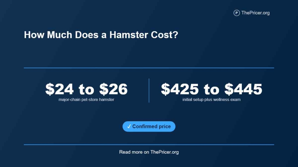 Cute Hamster Cost