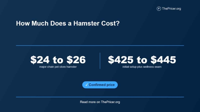 Cute Hamster Cost