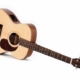 acoustic guitar cost