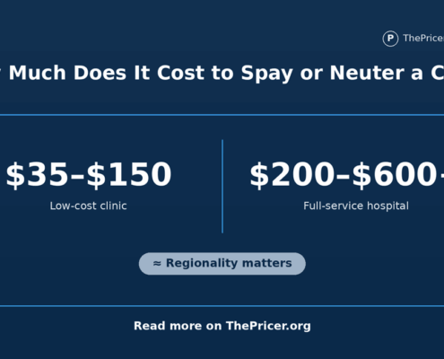 Doctor veterinarian cat neuter