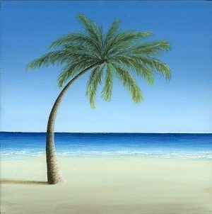 Palm Tree