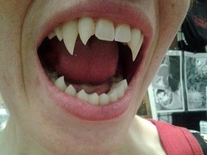 Real vampire teeth
