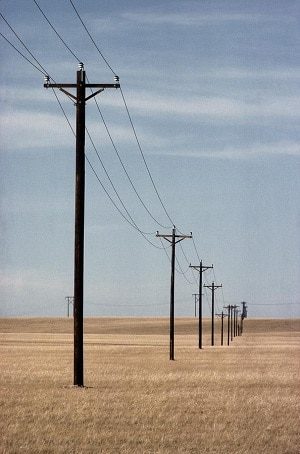 Line of telephone poles