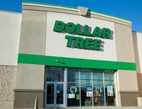 Dollar Tree Store Cost