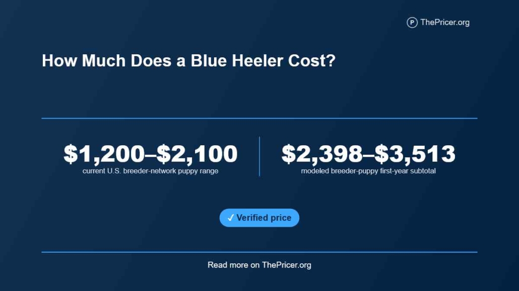 Blue Heeler Cost