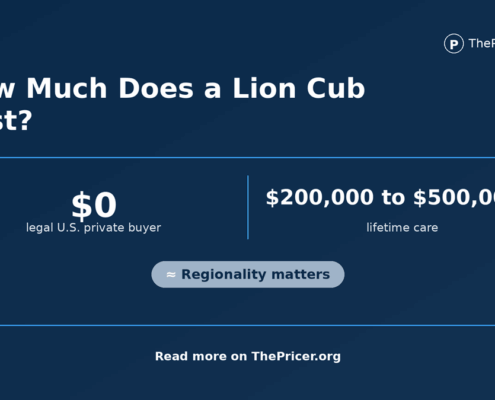 Lion Cub Pet cost