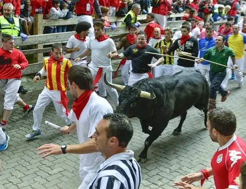 Running With The Bulls Cost