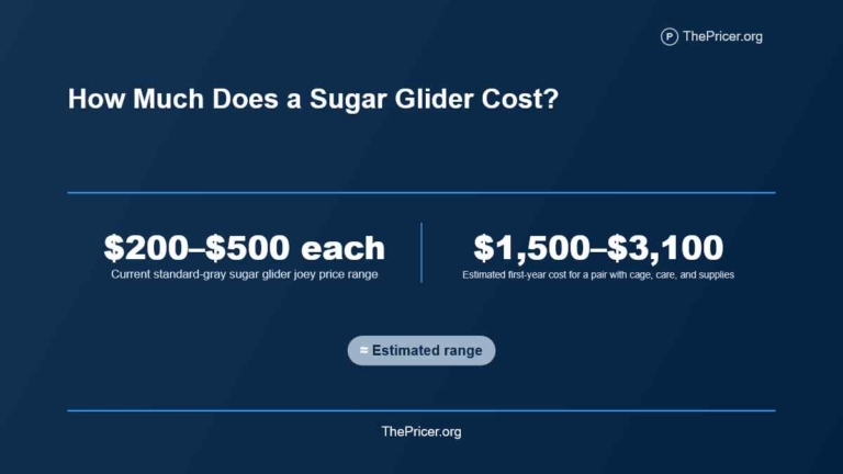 Sugar Glider Cost