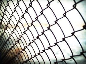 Chain Link Fence