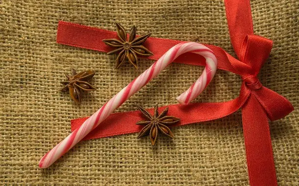 Christmas Candy Canes