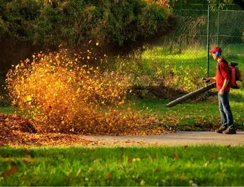 Yard Cleaning Services Cost