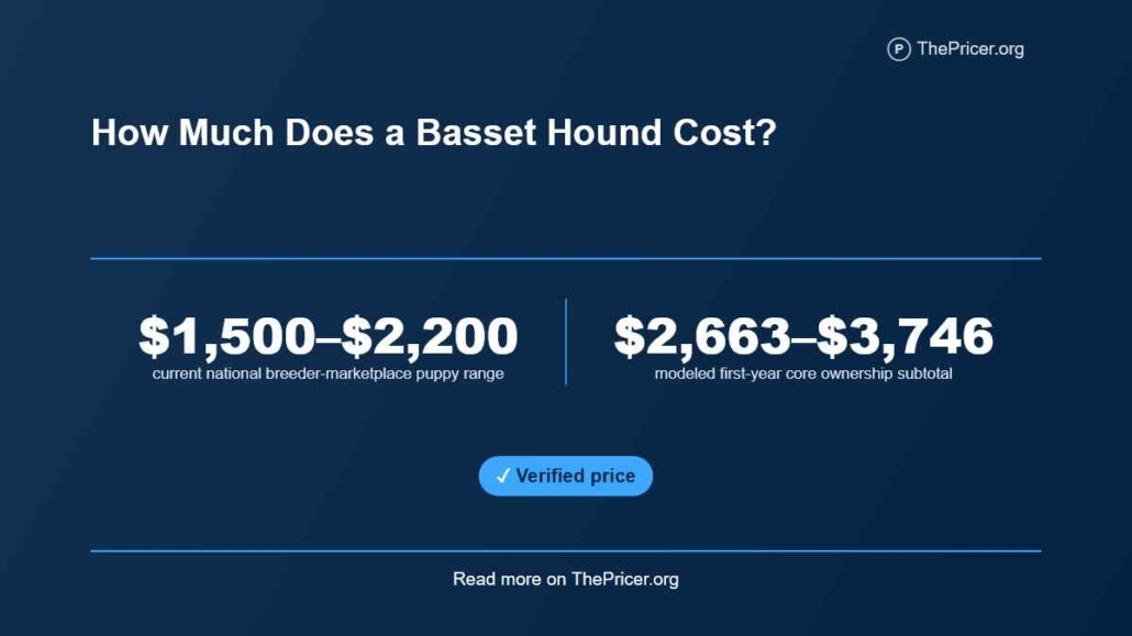 Basset Hound Cost