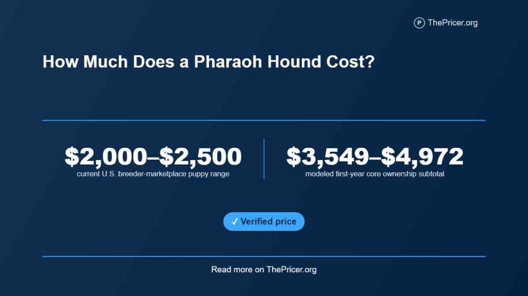 Pharaoh Hound Cost
