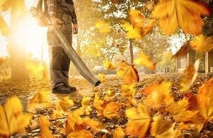 Leaf Blowing Services