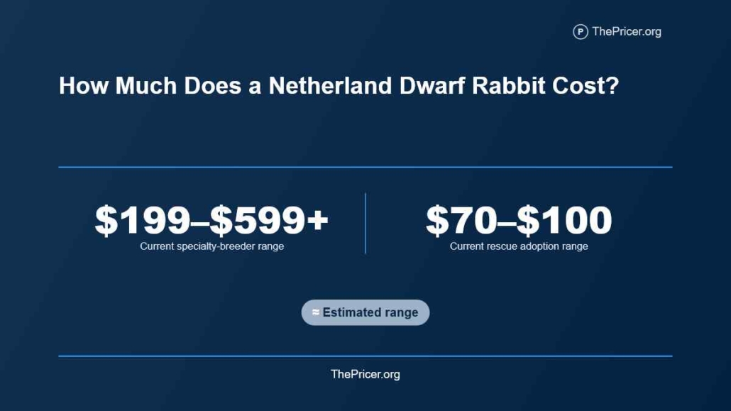 Dwarf Bunny Cost