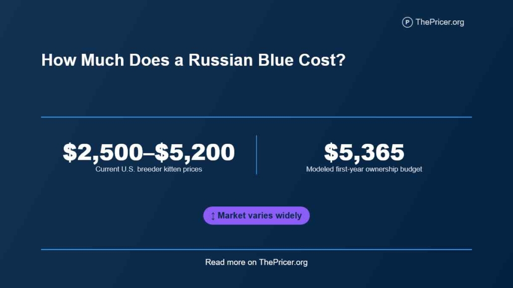 Russian Blue Cat Cost