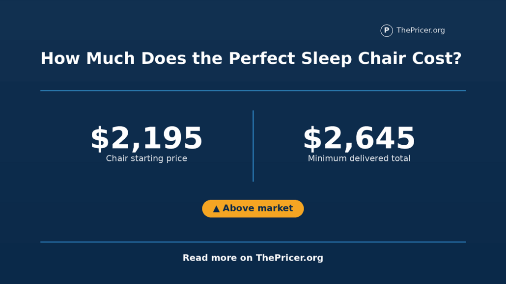 Perfect Sleep Chair Cost