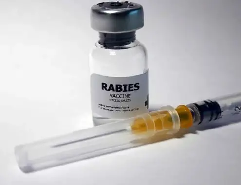 Rabies Vaccine Price