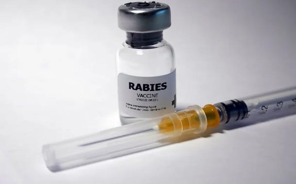 Rabies Vaccine Price