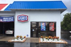 AAMCO Tampa Shop