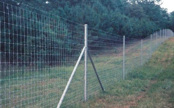 Game Fencing Cost