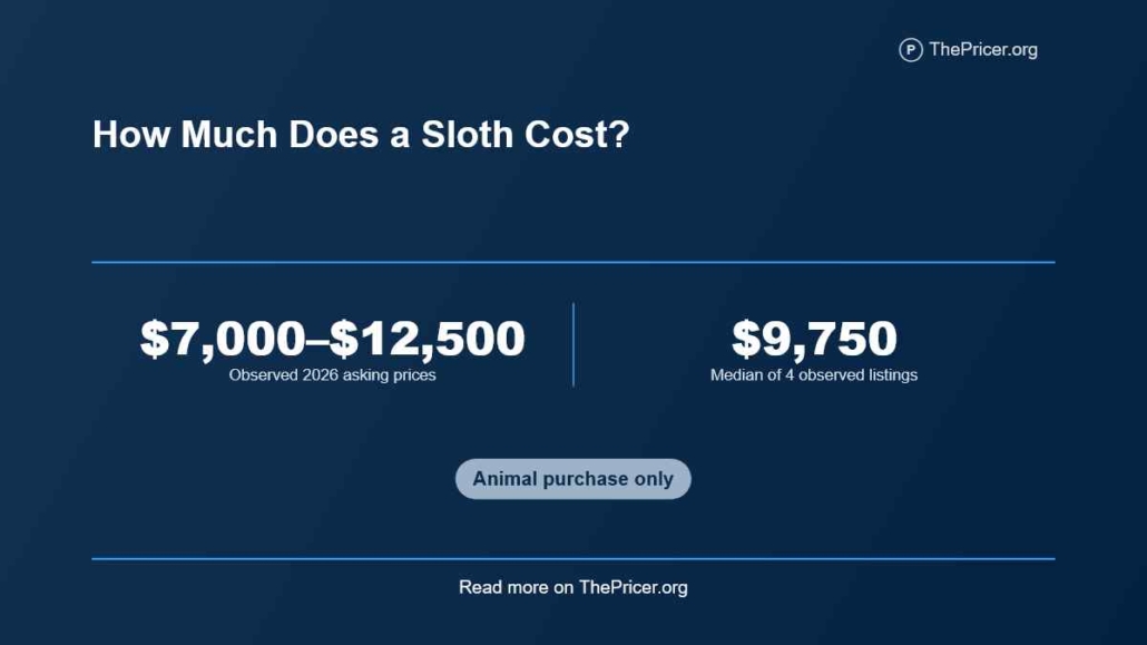 Pet Sloth Cost