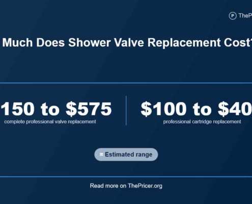 Shower Valve Replacement Cost