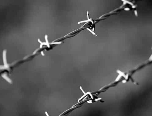 Barbed Wire Fence Cost