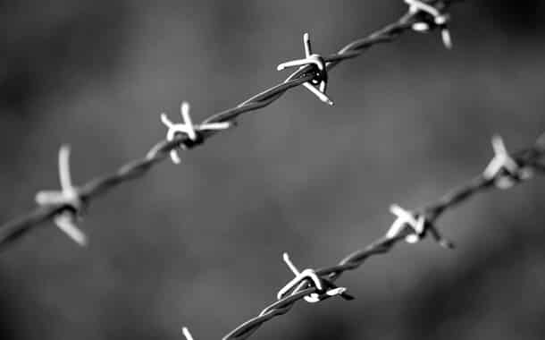 Barbed Wire Fence Cost