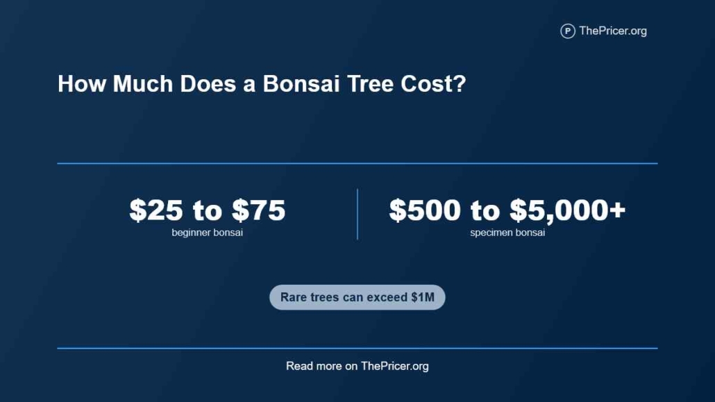 Bonsai Tree Cost
