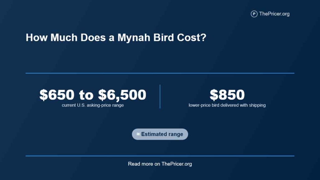 Minah Bird Cost
