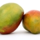 Cost of Mango