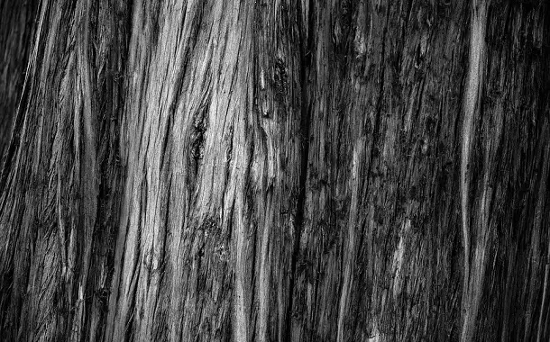 Cypress Wood Cost