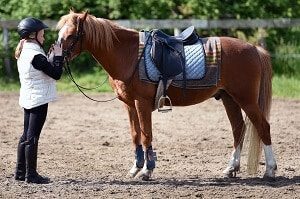 Horse with Saddle